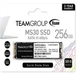 TEAMGROUP MS30 256GB SATA Rev. 3.0 (6Gb/s) M.2 Internal Solid State Drive SSD (Read/Write Speed up to 550/470 MB/s)
