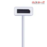 2B (CV145) Type C to Display Port Converter