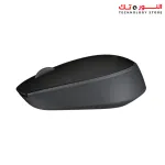 Logitech Wireless Mouse M171