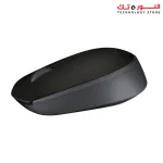 Logitech Wireless Mouse M171