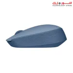 Logitech Wireless Mouse M171
