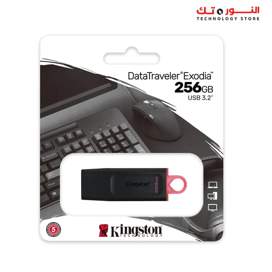 Kingston DataTraveler Exodia 256GB USB 3.2 Flash Drive