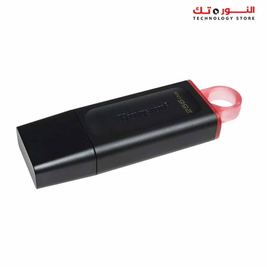 Kingston DataTraveler Exodia 256GB USB 3.2 Flash Drive
