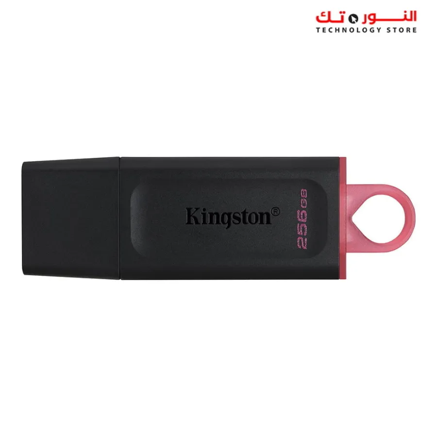 Kingston DataTraveler Exodia 256GB USB 3.2 Flash Drive