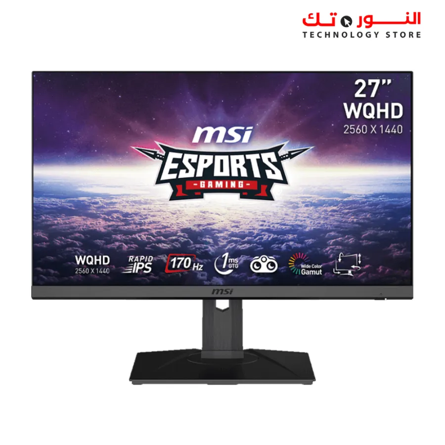 MSI G272QPF, 27" Gaming Monitor, 2560 x 1440 (WQHD), Rapid IPS, 1ms GTG, 170Hz, G-Sync Compatible